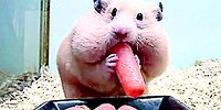 Самые опасные диеты